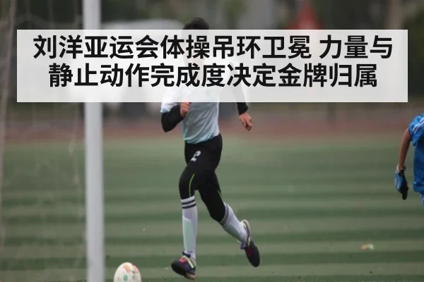 刘洋亚运会体操吊环卫冕 力量与静止动作完成度决定金牌归属（kaiyun）